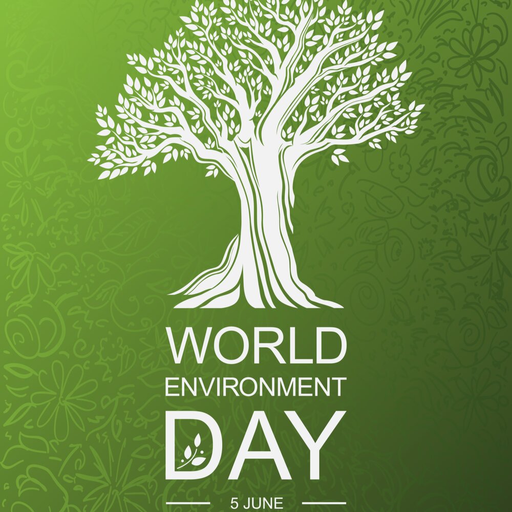 روز جهانی محیط زیست ۱۴۰۰ + تاریخ، شعار، هدف و تعریف محیط زیست